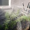 Gardening